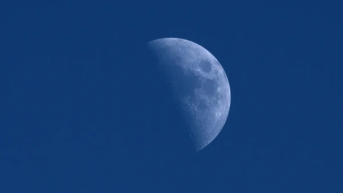 A half Moon in a deep blue daytime sky